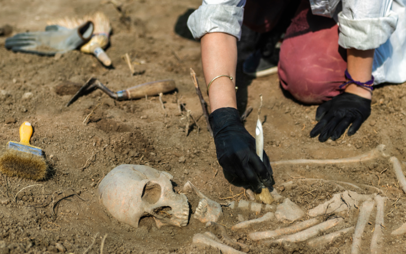 Canadian Ruins Predate The Pyramids